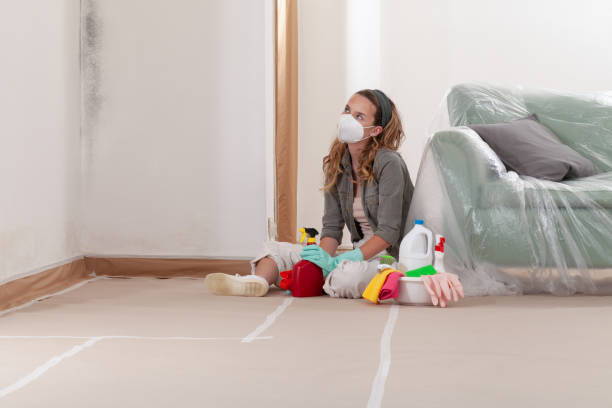 Reliable Mold Remediation contractor in Kentwood, MI by 24 Hour Mold Removal